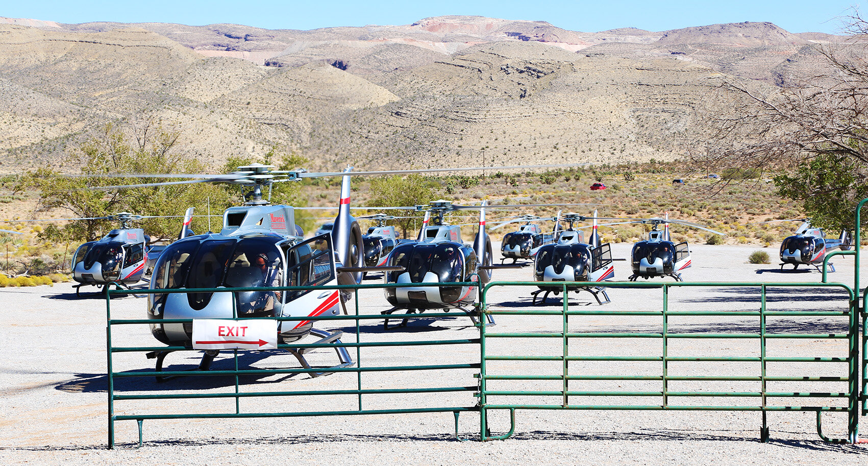helos.jpg