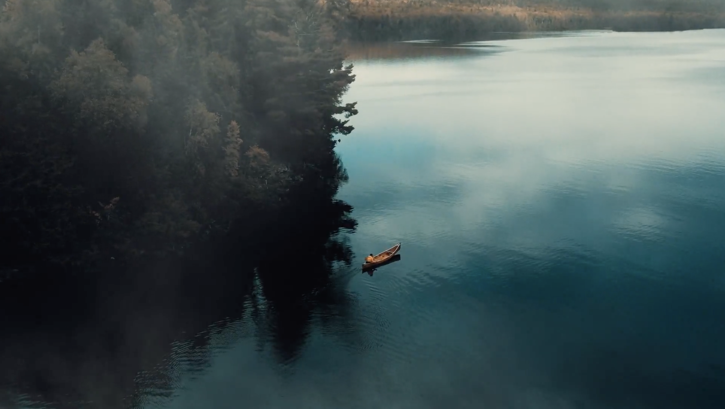 Screenshot 2026-02-12 at 12.59.51.png