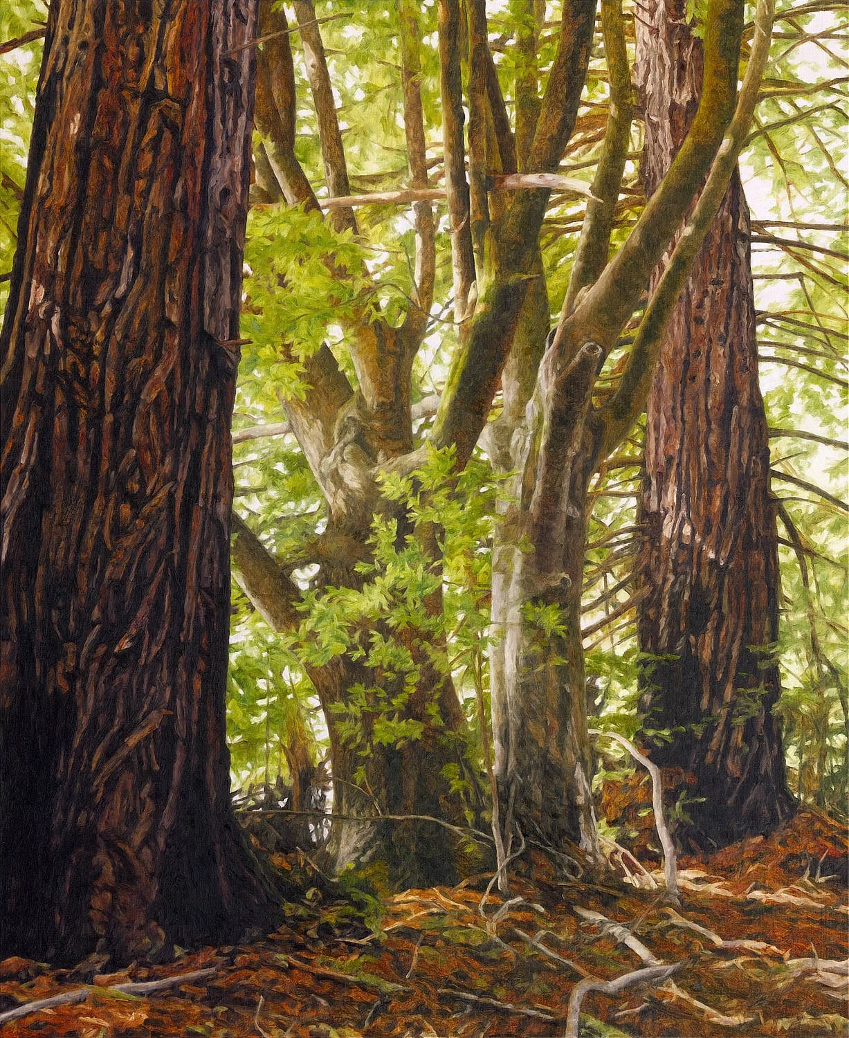 Painting of forest with light filtering through branches and leaves