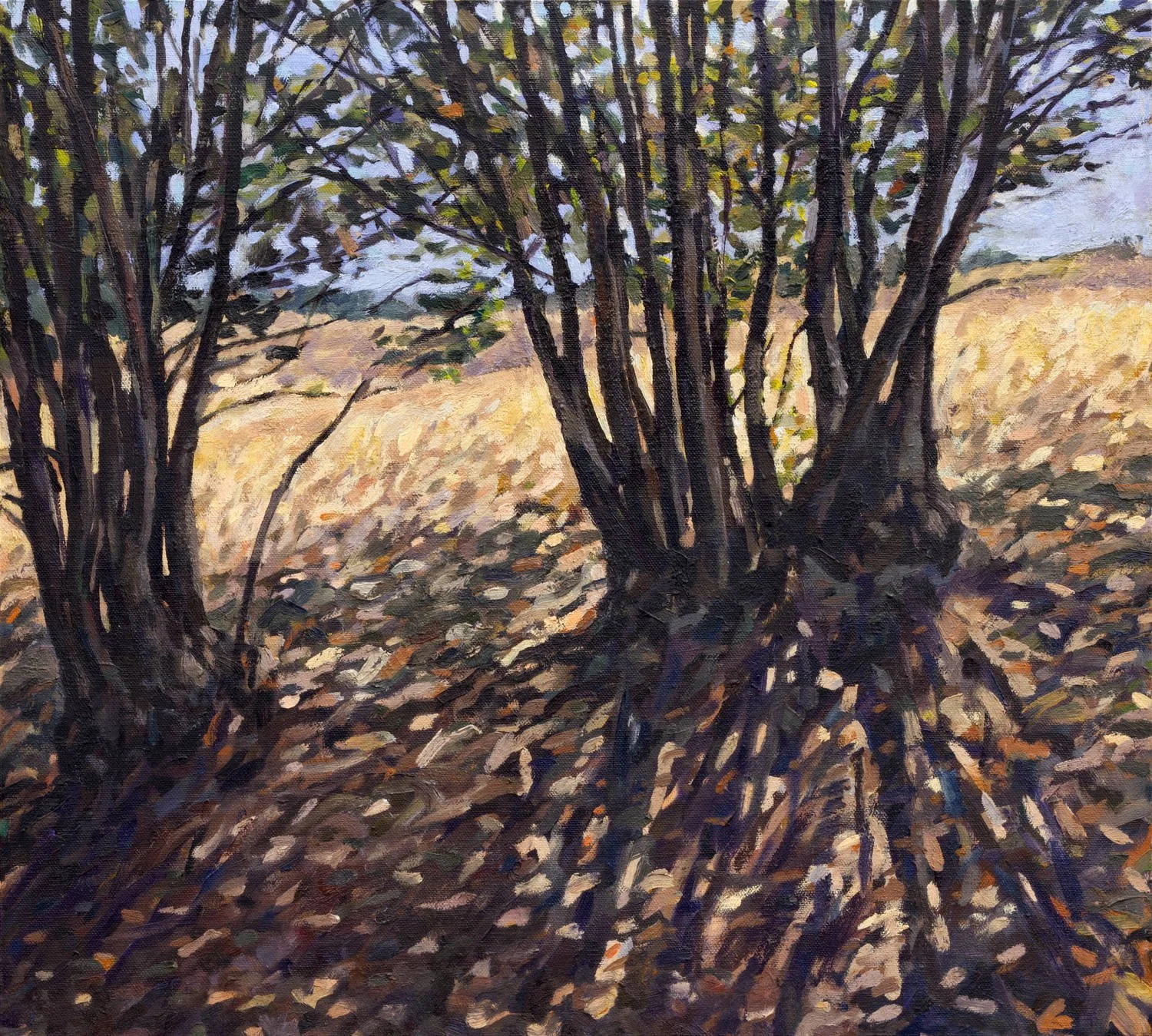 Bay Laurels at Great Meadow, UCSC