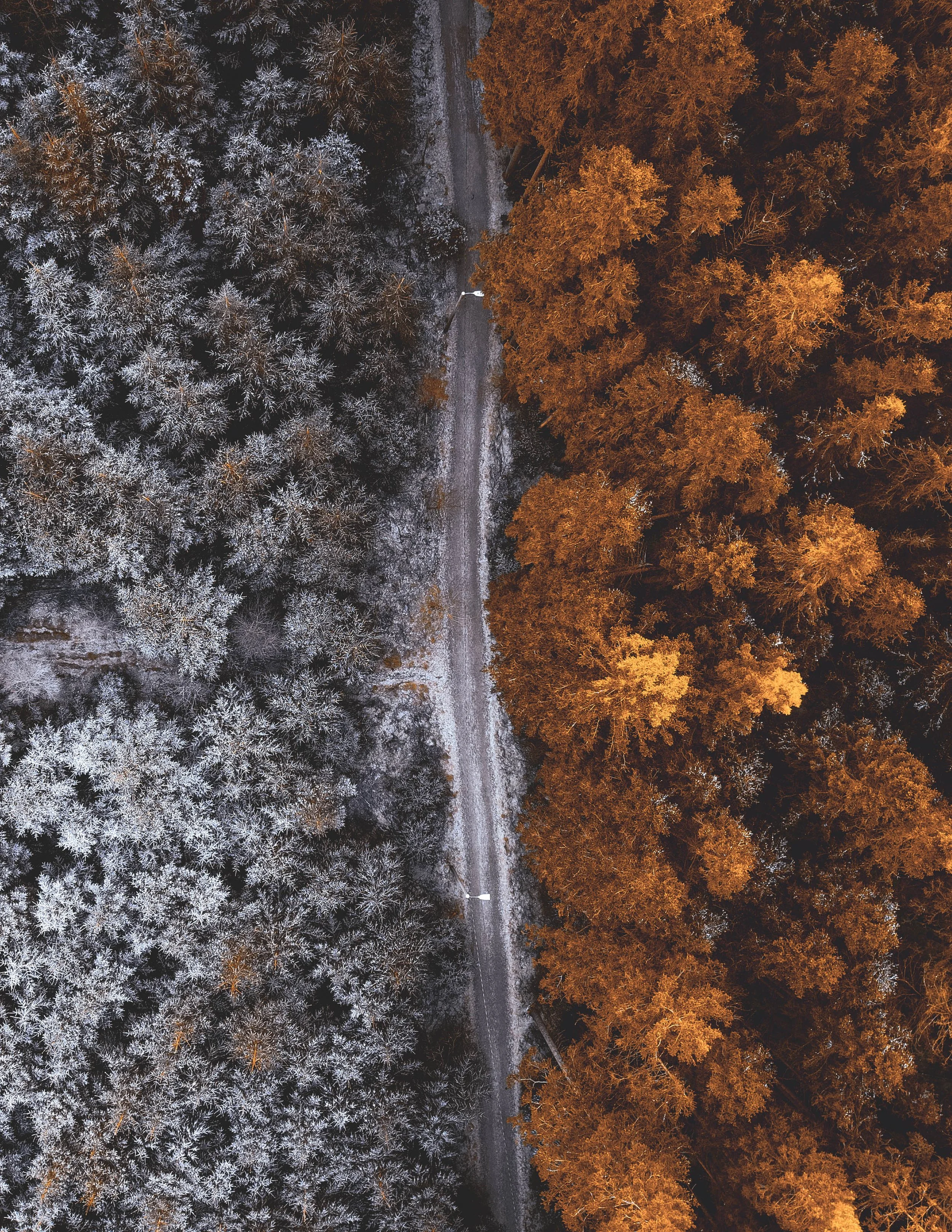 DJI_0298-2.jpg