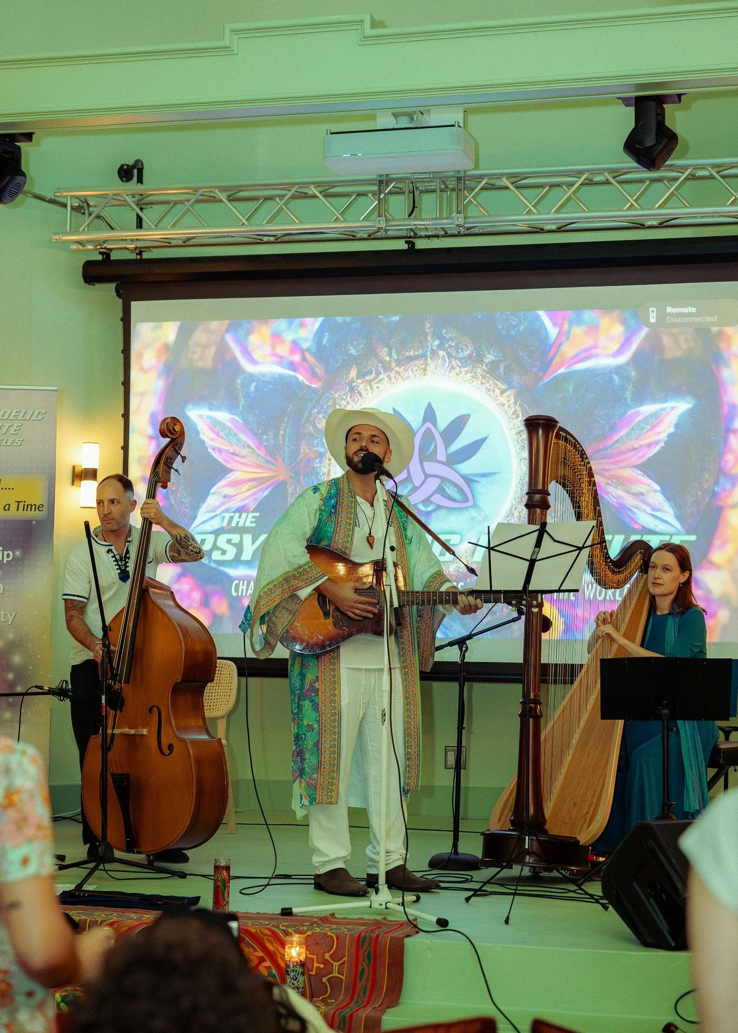 SANTOS & The Crystal Visions performing live with harp and upright bass