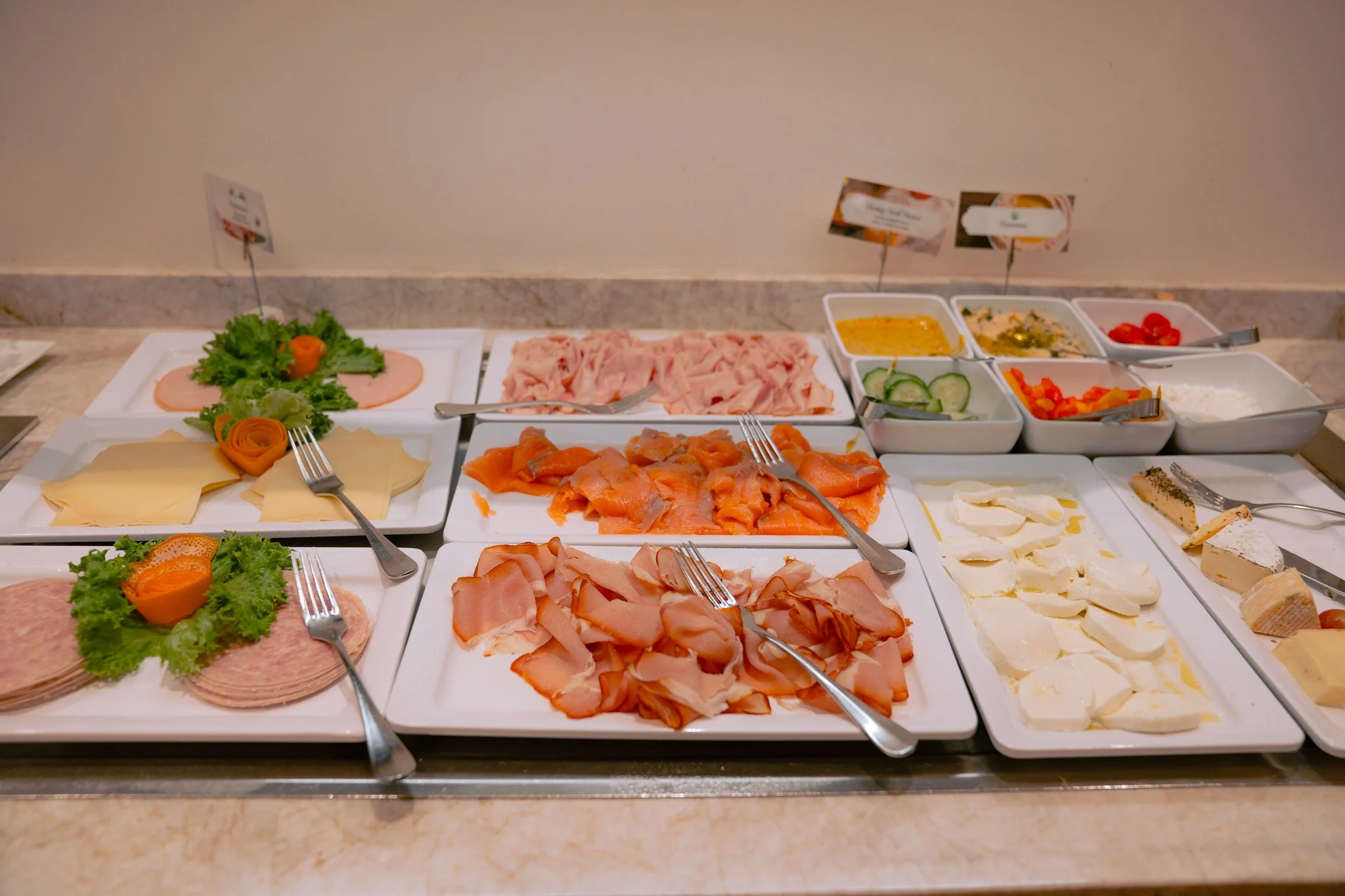 DSC00419.jpg