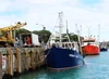 Delivery — Saltwater Seafoods NZ