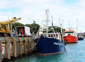 Wirral bazaar christmas market Delivery — Saltwater Seafoods NZ
