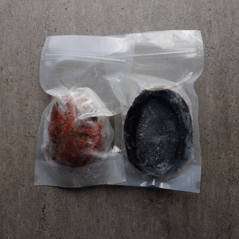 Whole Paua (Frozen) Each