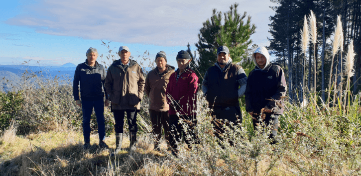 A group standing together on a hilltop during a whenua visit for the Te Waimana Kaaku Trust land use study