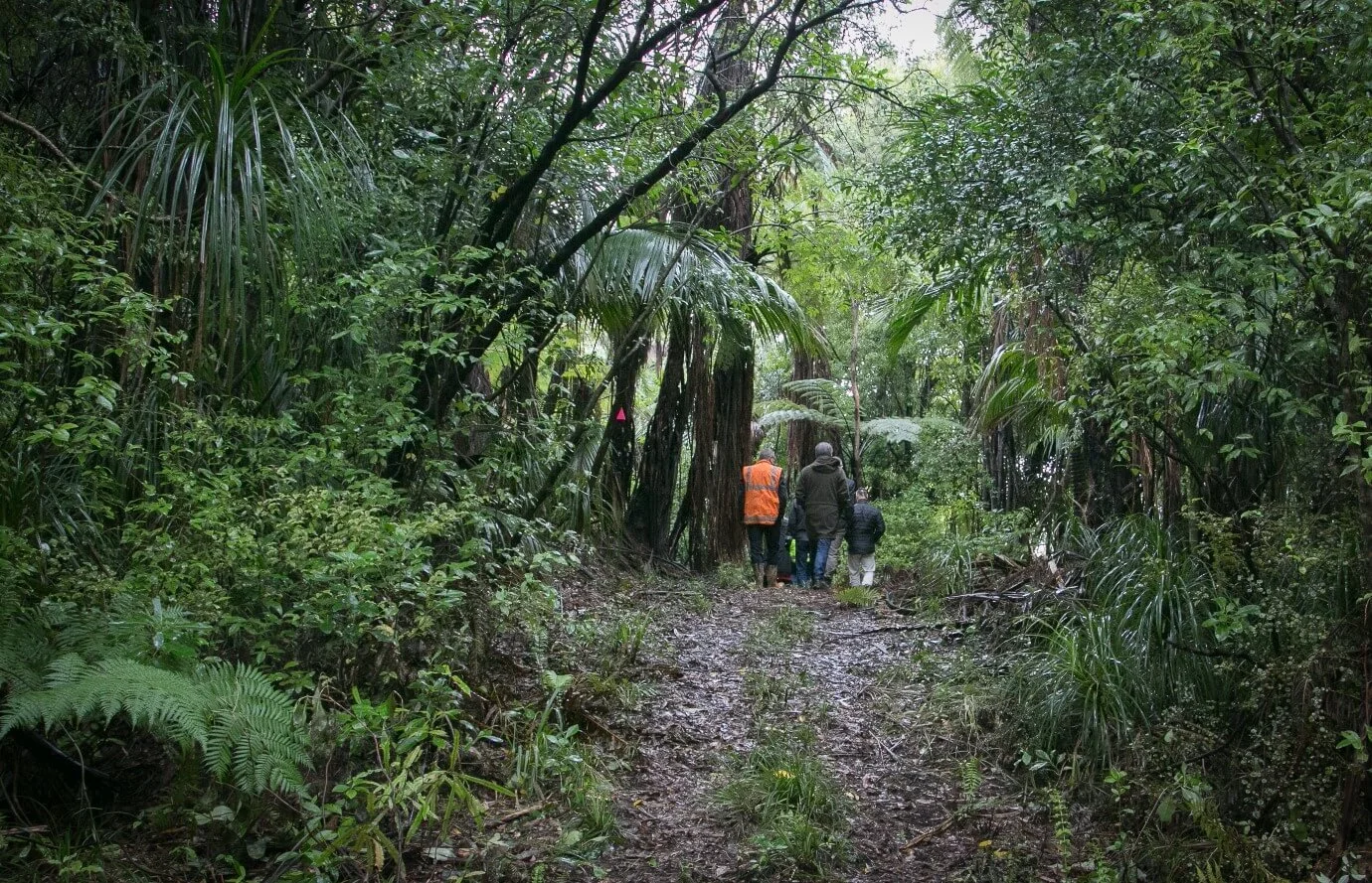 A small group walking a bush track through native forest on Ōmataroa whenua