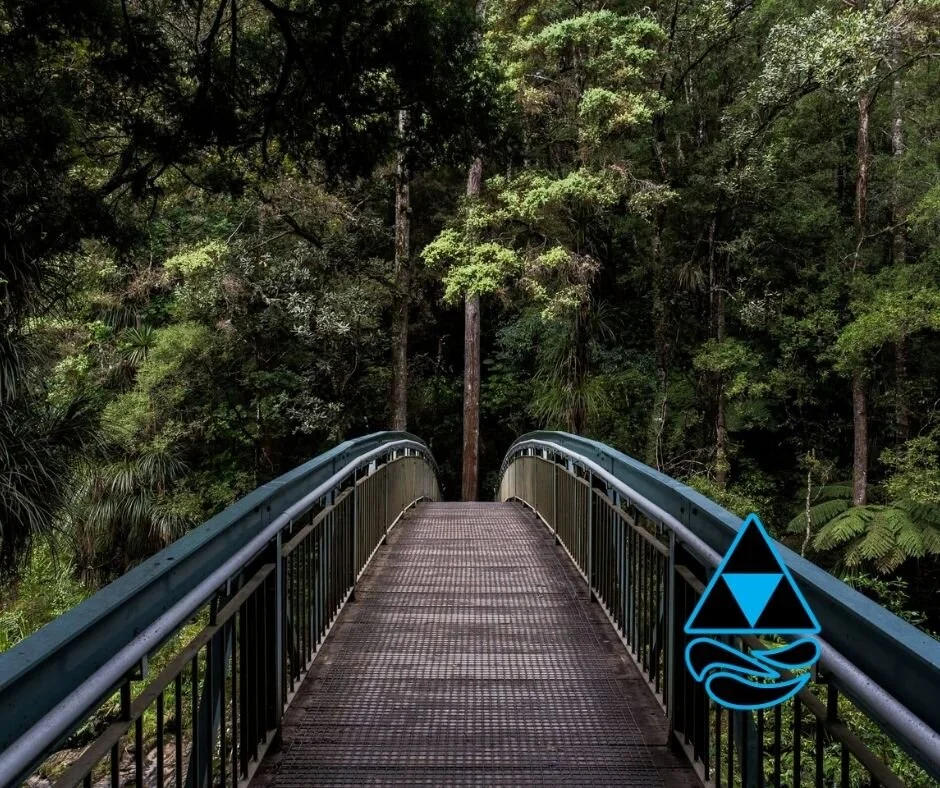 Cashflow Planning Whakatane & Tauranga