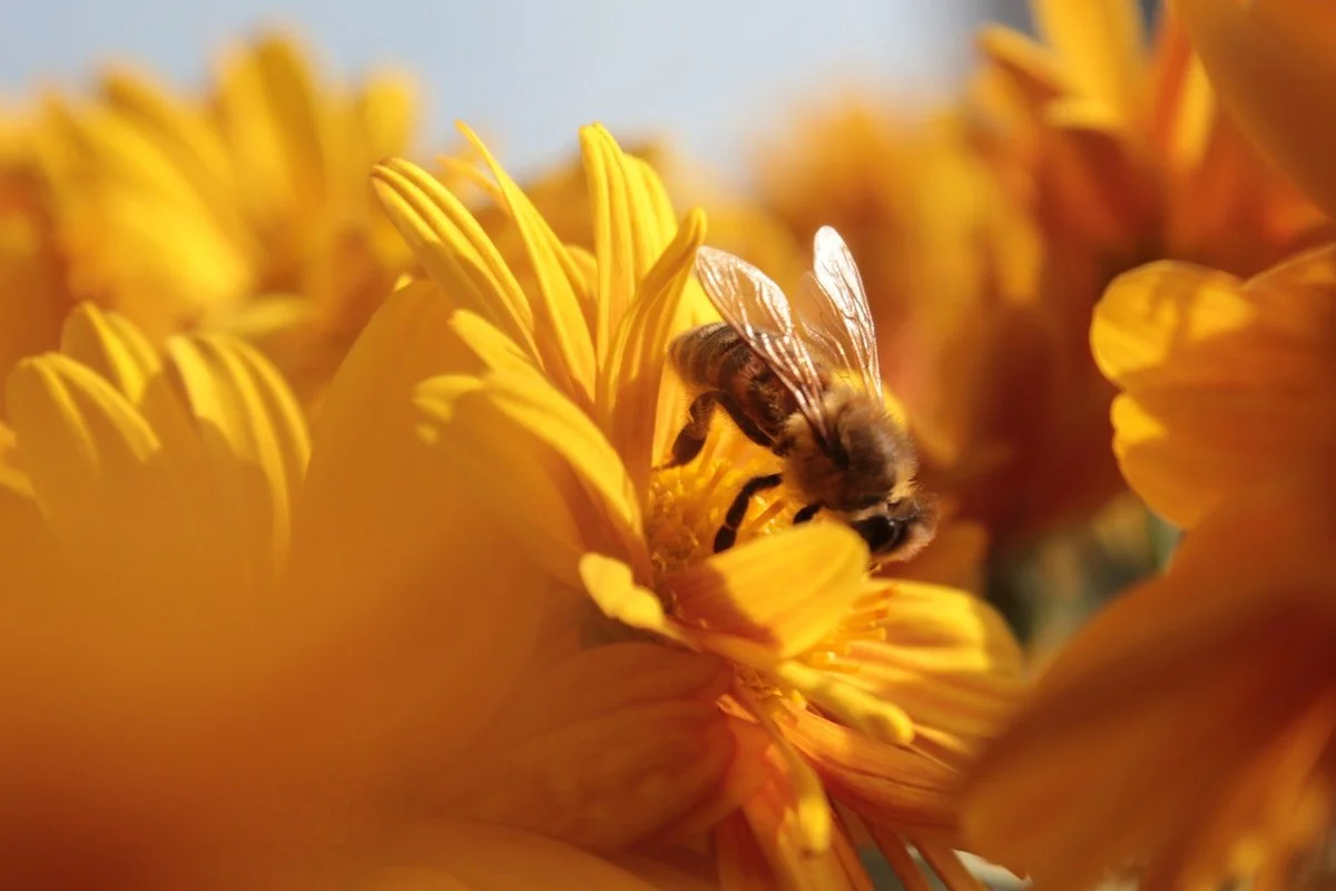 Profit improvement and productivity