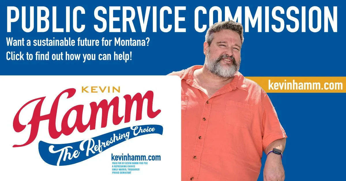 An image showing Kevin Hamm for the Public Service Commission and promoting his campaign website kevinhamm.com, featuring him in a salmon-colored shirt smiling against a blue background, with his campaign logo.