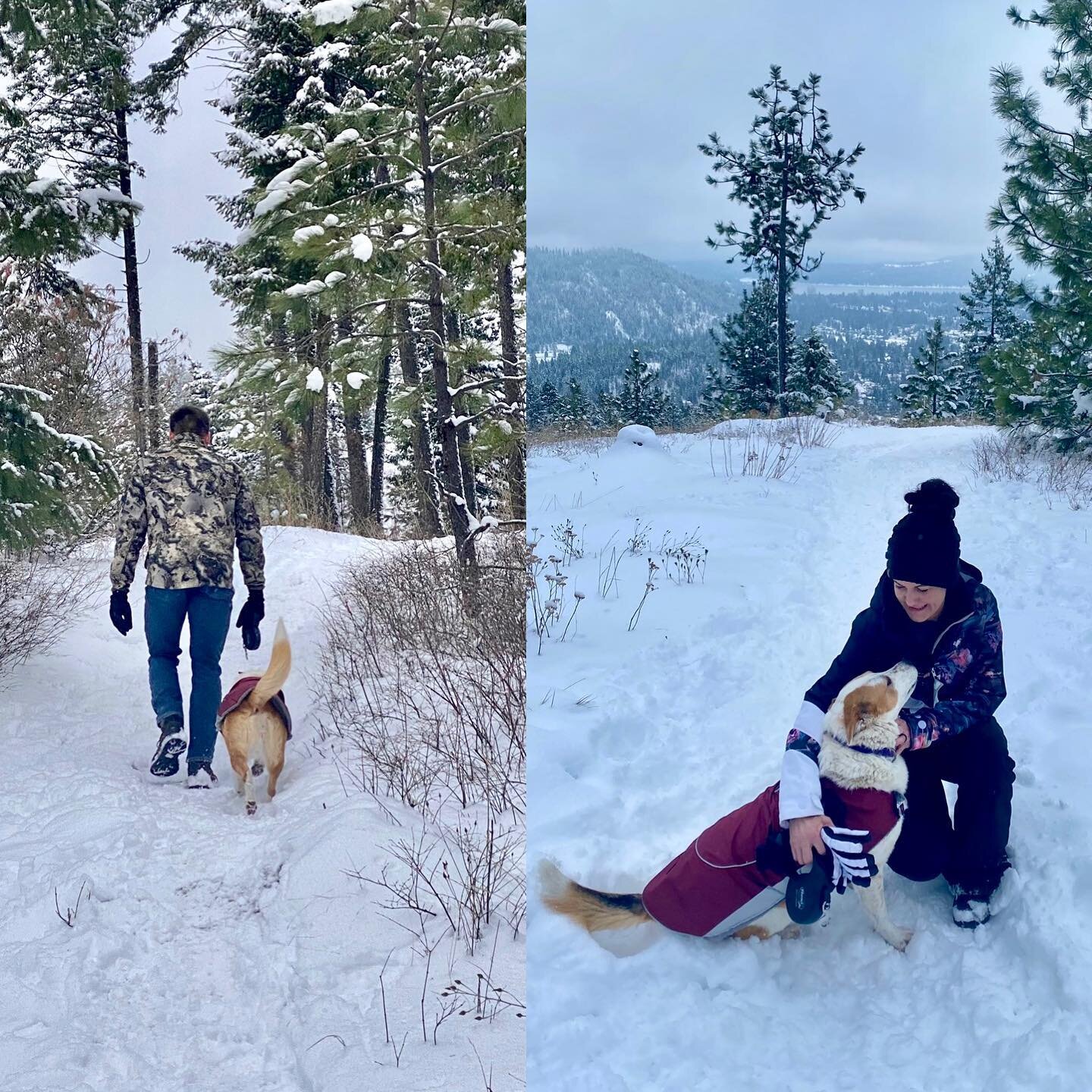 We don&rsquo;t want to miss a chance to recognize @cdaonicebynumerica&rsquo;s sweet mascot, our beloved Tawni 😊🐕She is living her best life when she&rsquo;s adventuring with us in beautiful CDA! #nationalpetday