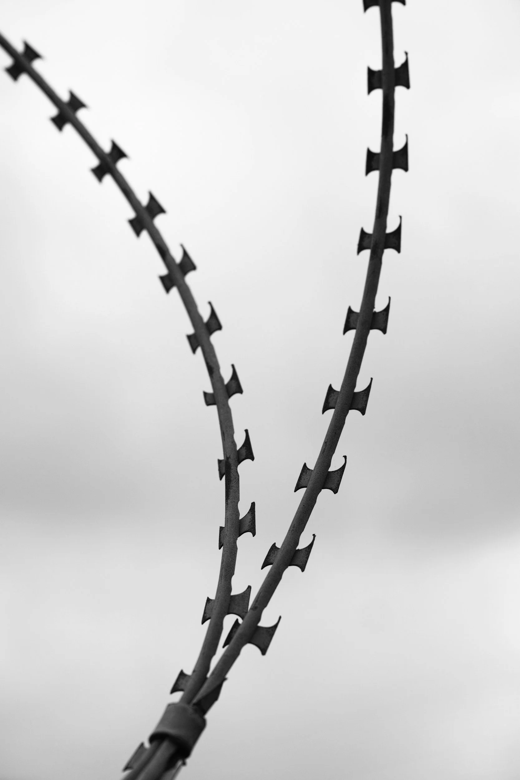 Prince George’s County CourtWatch is Expanding to Charles County, where more services for those incarcerated are needed