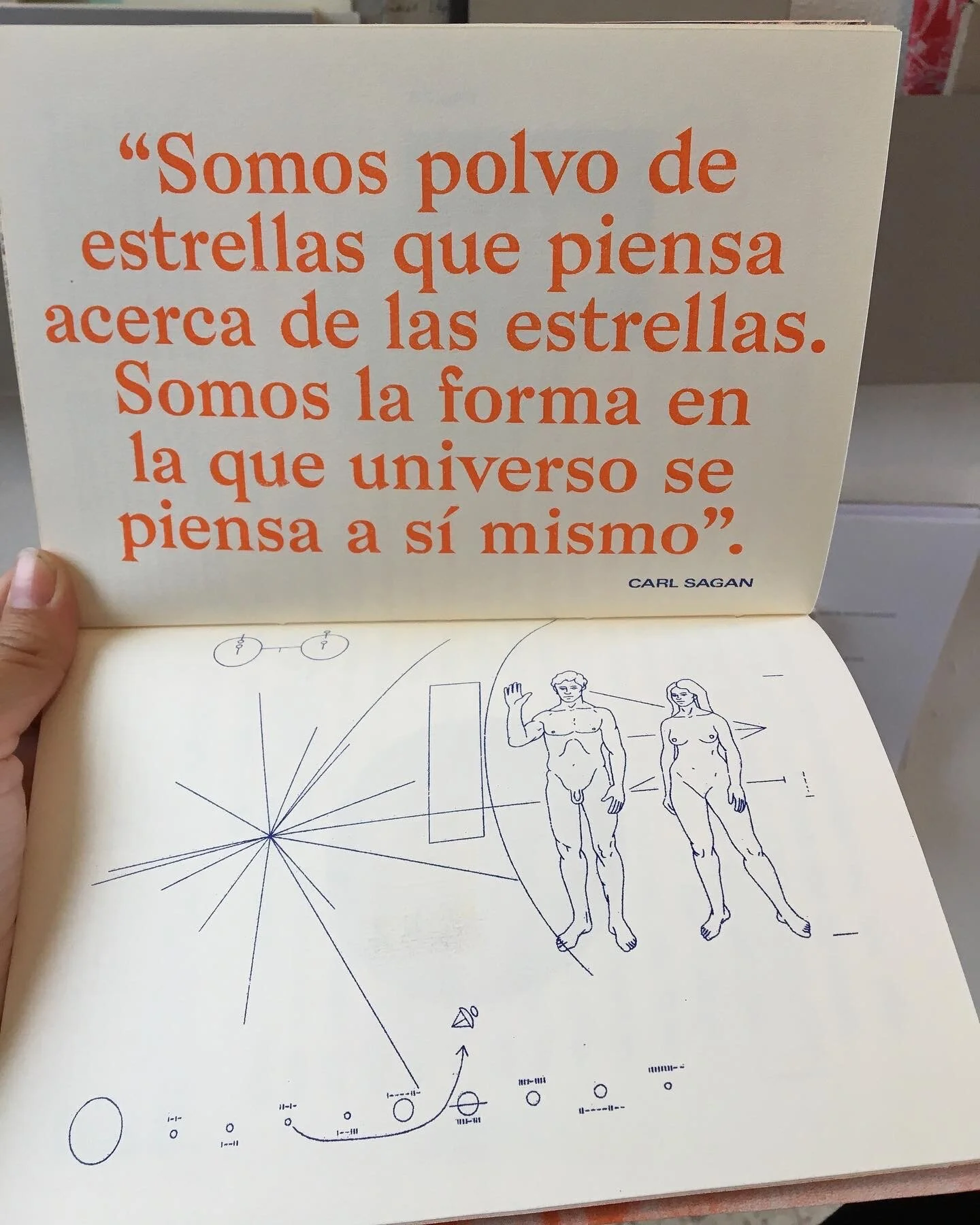 1B10BB4E-C3E6-4F65-A4BA-DD3ED50F1589.JPG