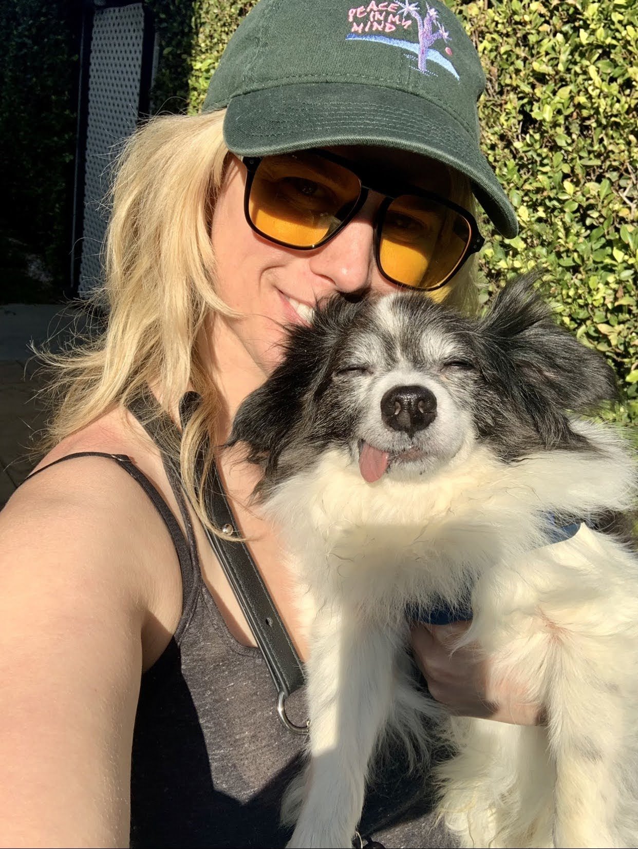 2021: NYC ➡️ LA with my best fur friend