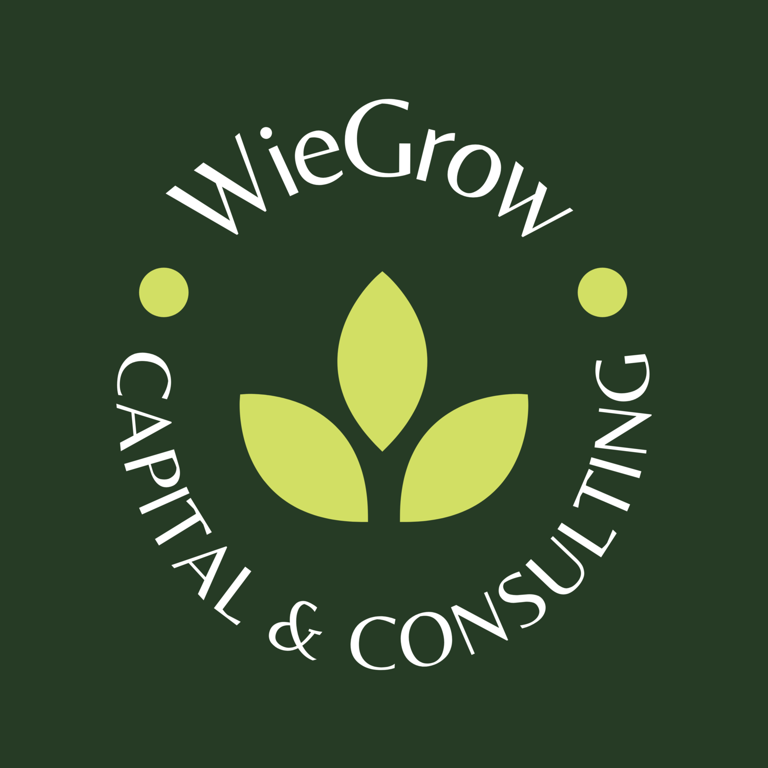 WieGrow Capital &amp; Consulting