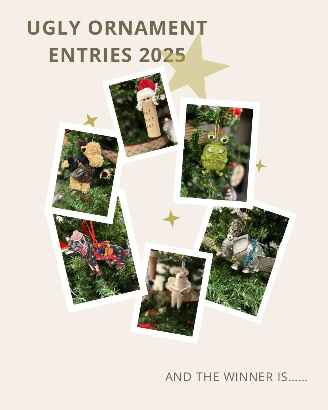 It&rsquo;s the moment you&rsquo;ve been waiting all season for!  The winner of the annual Total Balance Physiotherapy ugly ornament contest is&hellip;&hellip;&hellip;. the &lsquo;tacky elephant&rsquo;!! This was a clear winner, earning the most votes