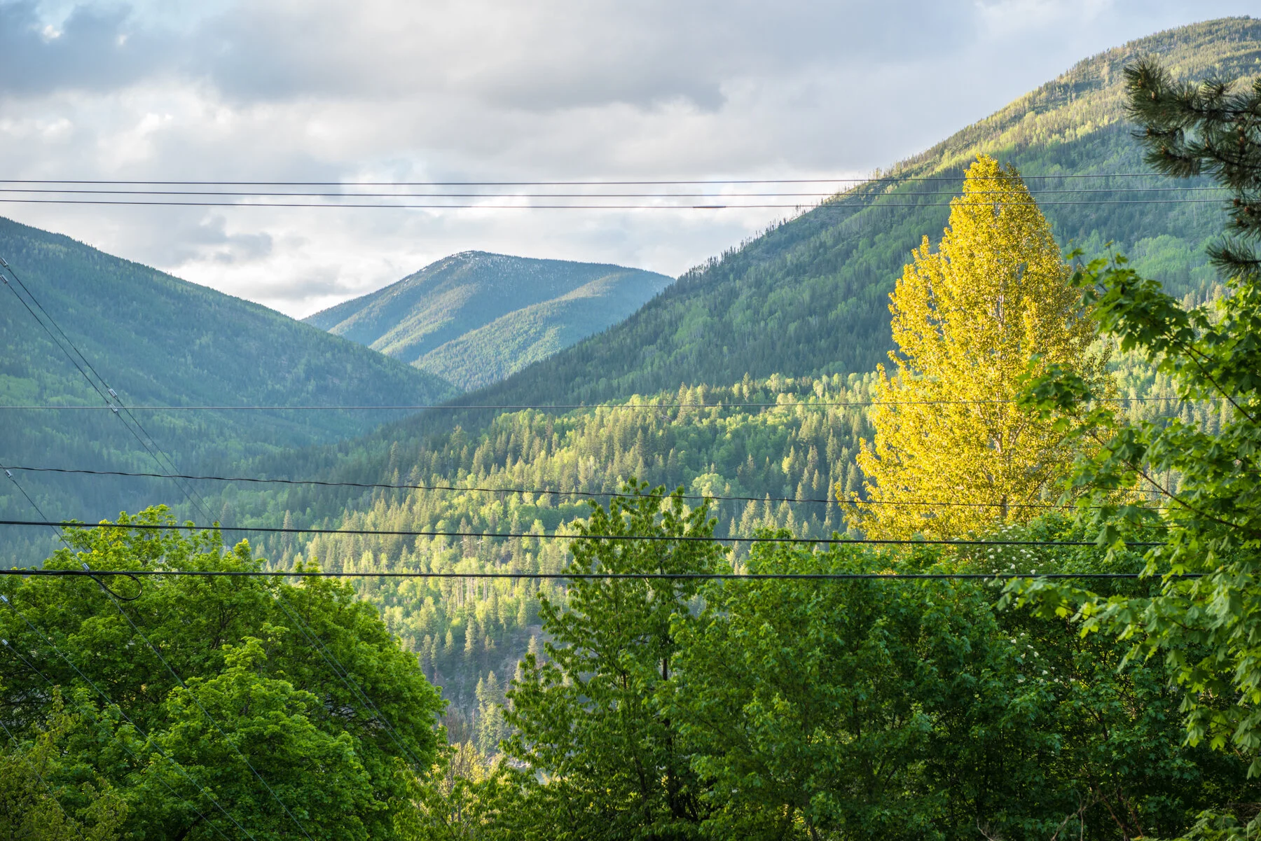 Grohman Mountain as seen from Bees Knees in the Trees near Nelson BC