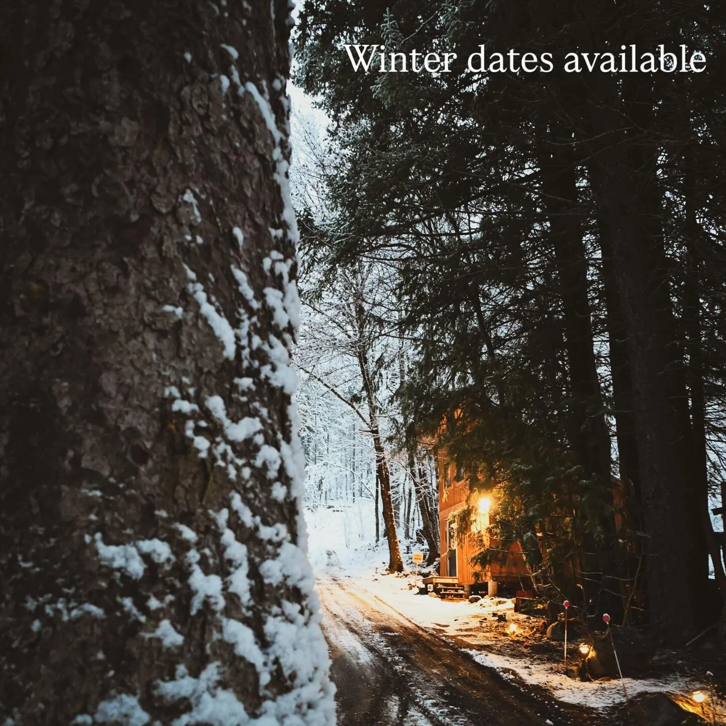 ❄️🌲The forest is finally all dressed up for winter&hellip;
Snow&hellip;
Slow&hellip;
Find the #beeskneesinthetrees on Airbnb

#airbnbcanada #slowtravel #forestescape #cozycabin