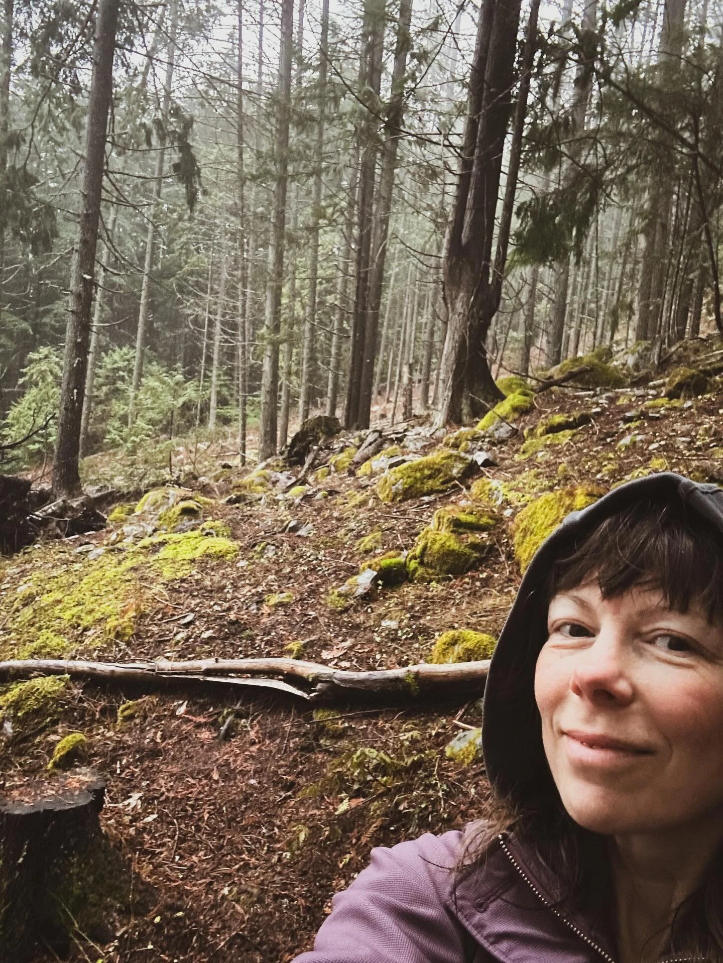 Here&rsquo;s my morning forest-face 🌲I&rsquo;m the human behind #thebeeskneesinthetrees - your friendly #foresthost. Come wander the trees, borrow some quiet and stay a while. 

#backyardforest #forestlife #slowtravel #naturestay #womenwhohost #ecos