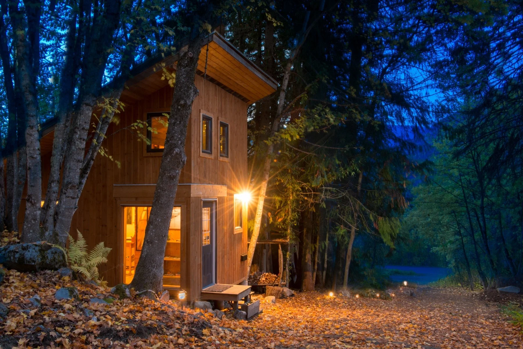 Bees Knees in the Trees tiny home surrounded by forest near Nelson BC
