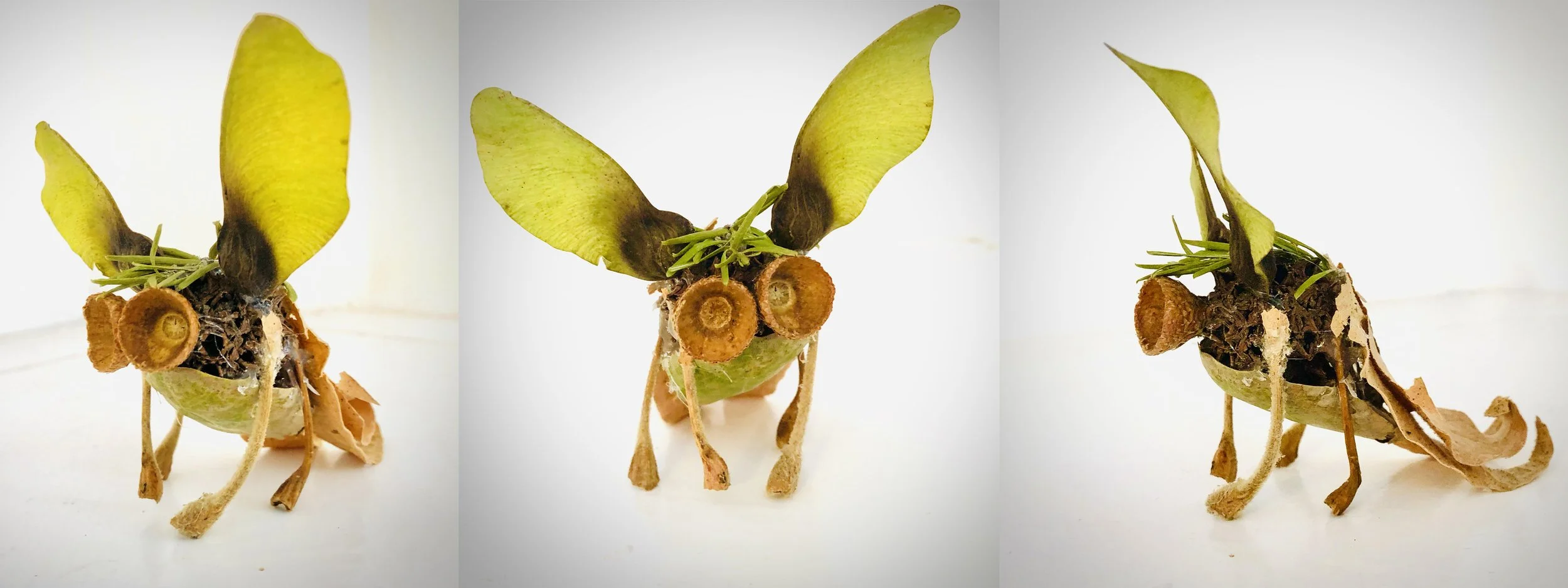 Leaf_Critter_v01.jpg