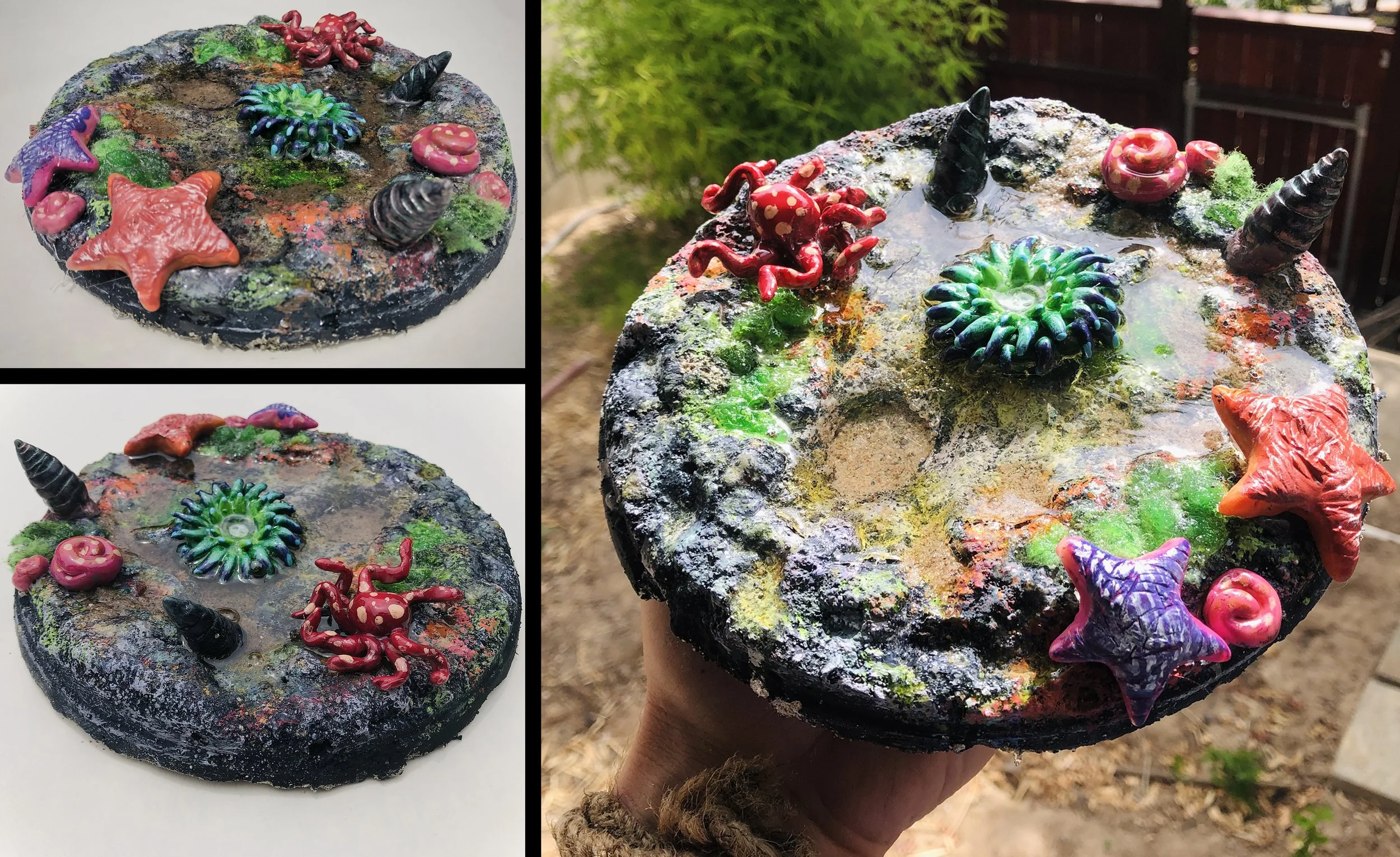 Tide_Pools_v01.jpg