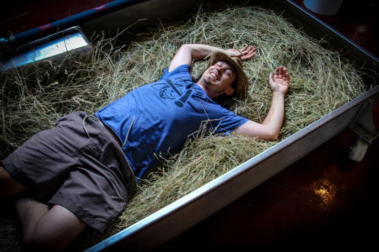 Mid year update! (2019)