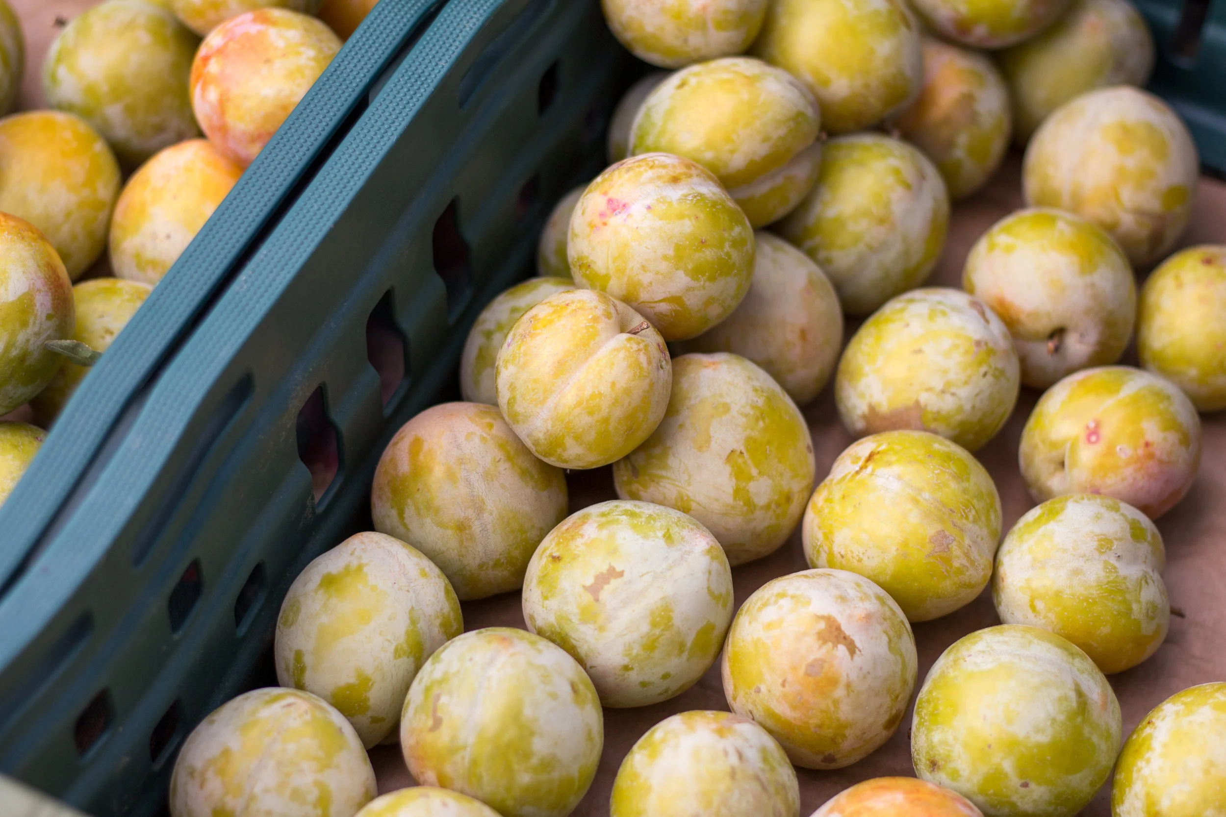 End of Harvest (Small Batch Fruit Experimentation)