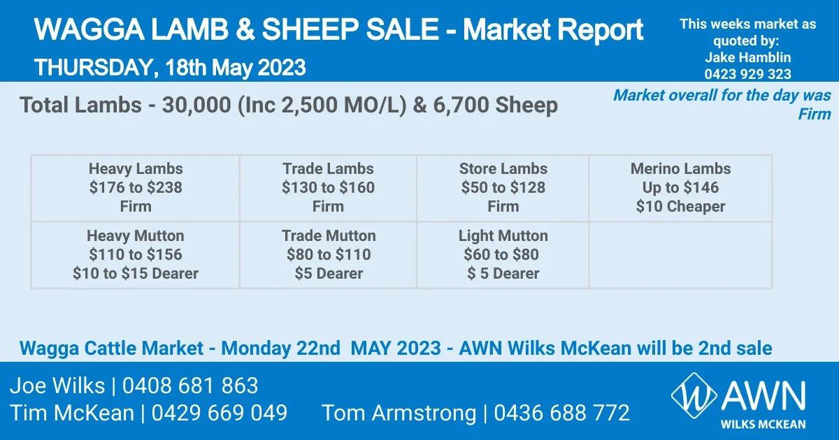 Wagga Lamb & Sheep Sale Thursday 18th May 2023 — AWN Wilks McKean