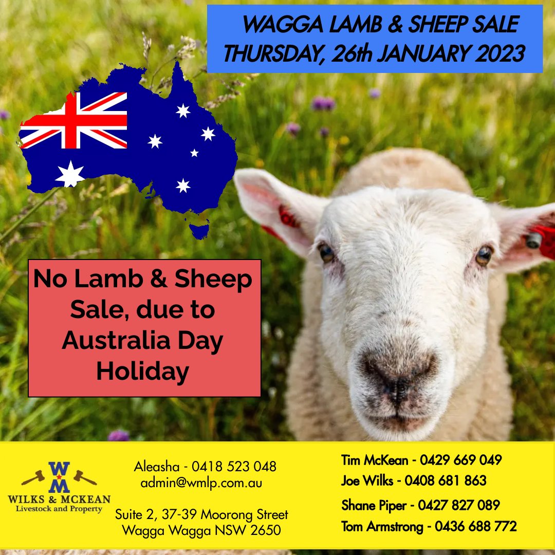 Wagga Lamb & Sheep Sale Thursday, 26th January 2023 — AWN Wilks McKean