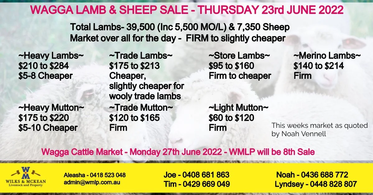 WAGGA LAMB & SHEEP MARKET REPORT THURSDAY 23RD JUNE 2022 — AWN Wilks