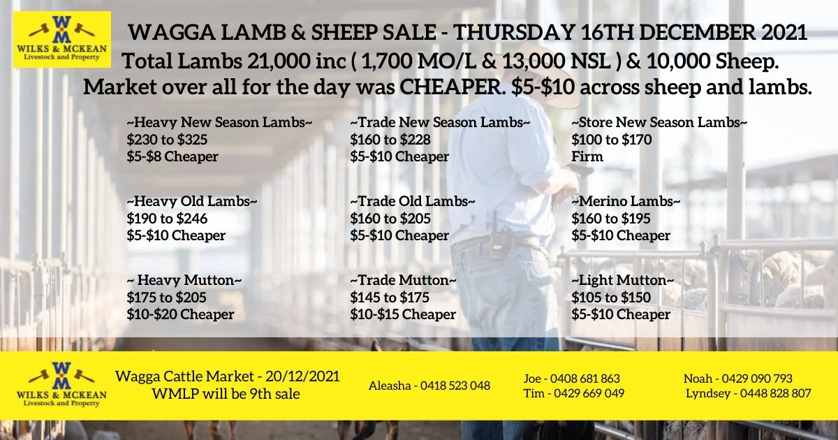 Wagga Lamb & Sheep Sale Report Thursday 16th December 2021 — AWN
