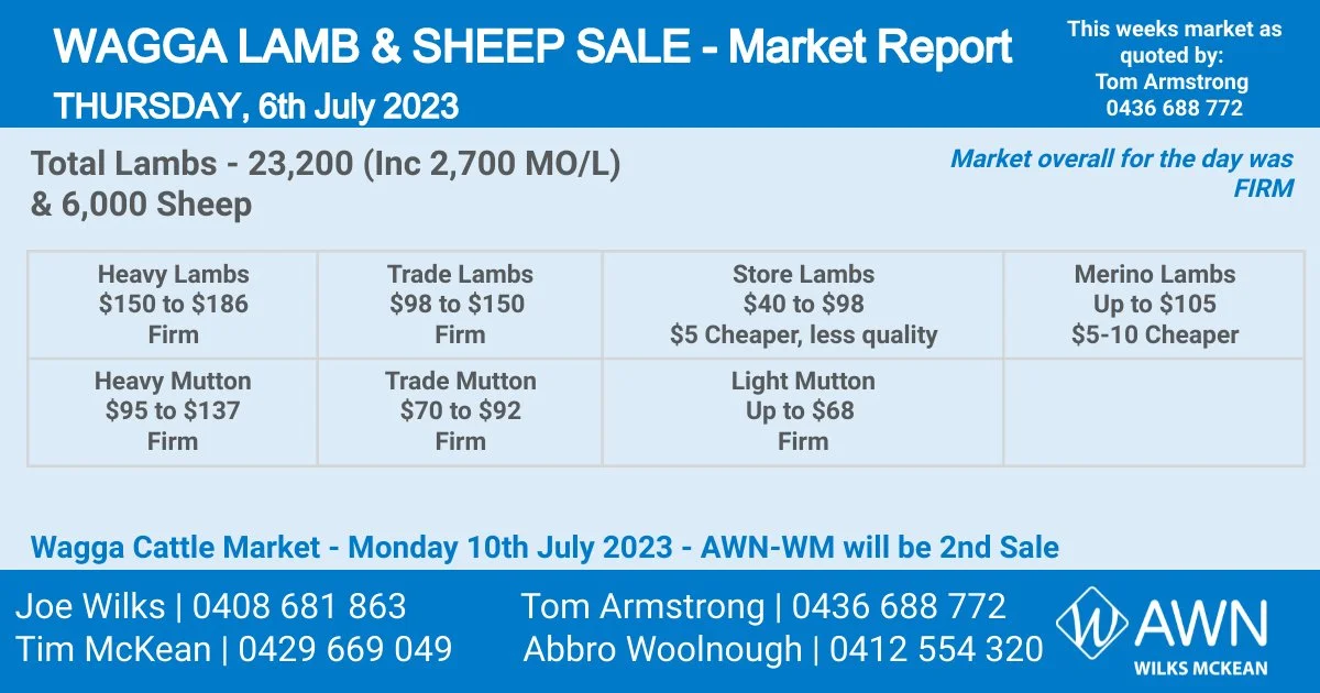 Wagga Lamb & Sheep Market Report Thursday 6th July 2023 — AWN Wilks