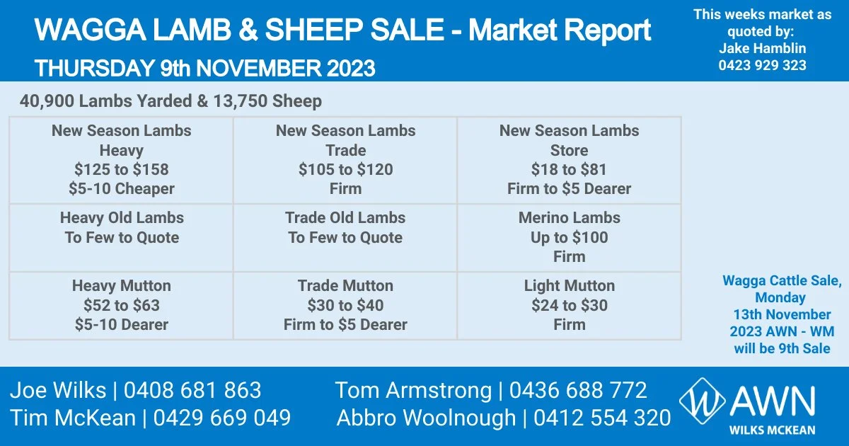 Wagga Lamb & Sheep Market Report Thursday 9th November 2023 — AWN