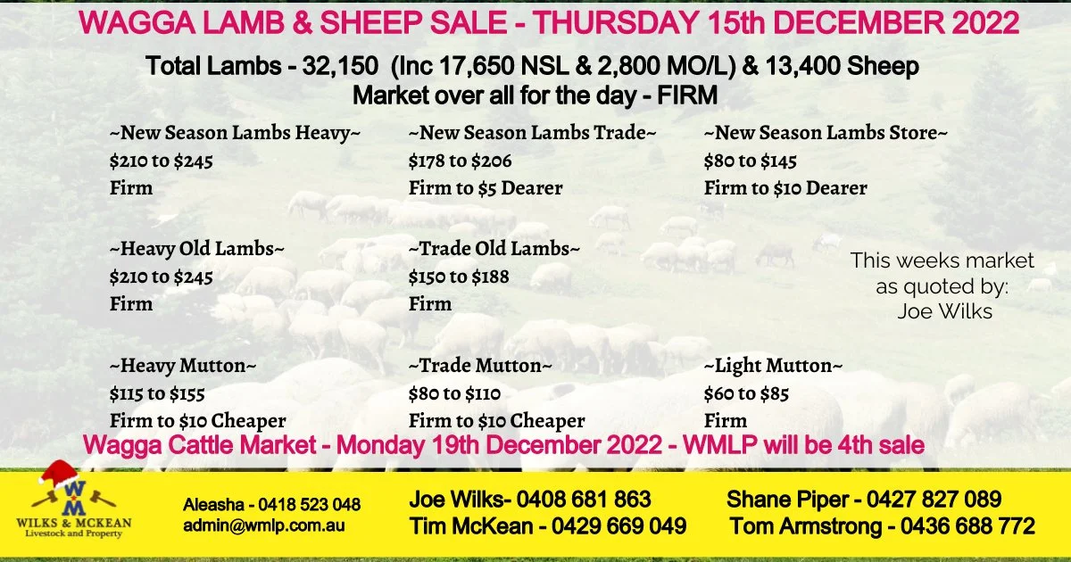 Wagga Lamb & Sheep Market Report Thursday 15th December 2022 — AWN