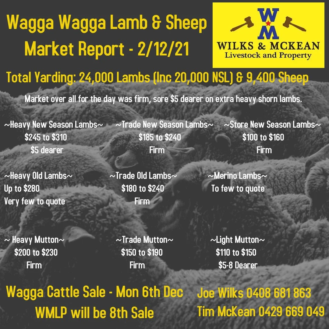 Wagga Lamb & Sheep Sale Report Thursday 2nd December 2021 — AWN Wilks