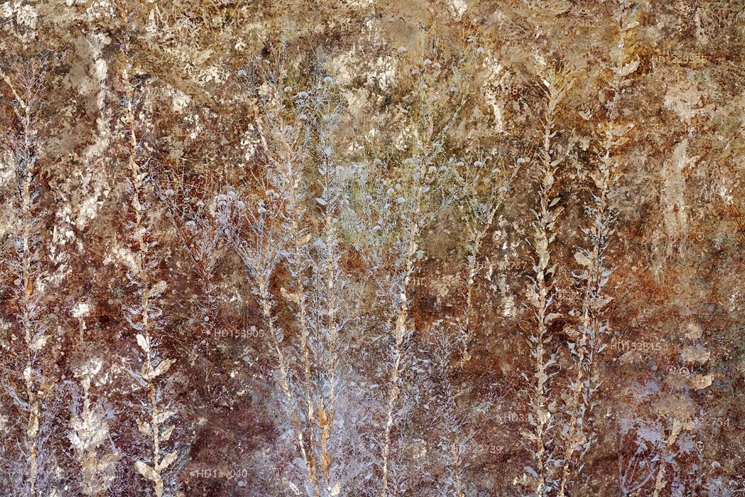 Day I - detail