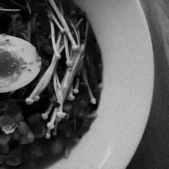 FireShot Capture 405 - Sushiro Sushi Bar (@sushirosushi) • Instagram photos and videos_ - www.instagram.com.jpg