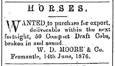 Ad for horses to export, June 1876