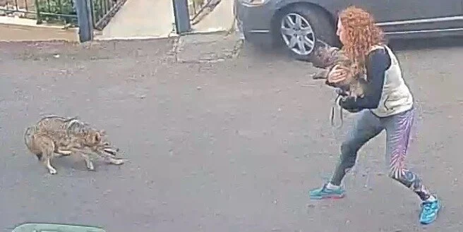 Recover More Quickly