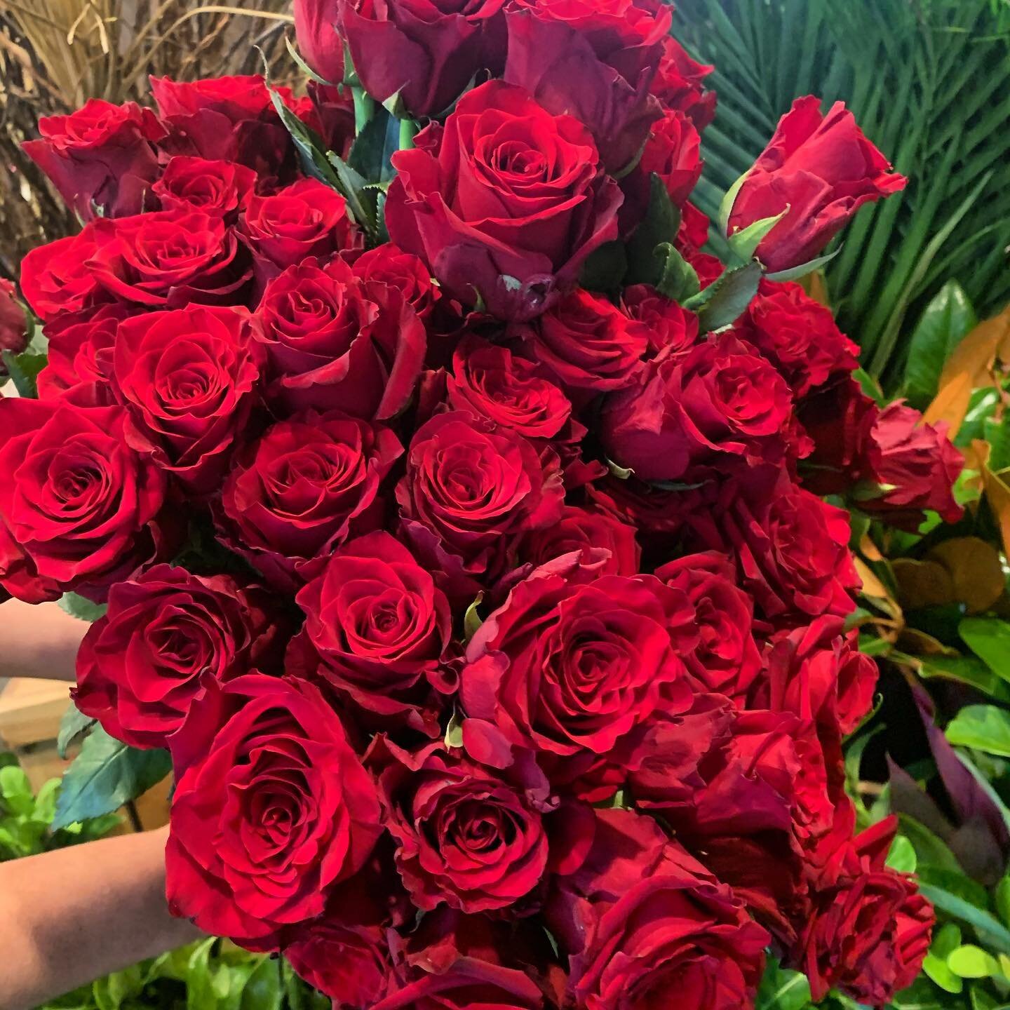 &hearts;️Valentine&rsquo;s Day &hearts;️ Sunday 14th Feb  Selling out quick, get in soon lovers xxx  #jamisonflowers #canberraflorist #canberraflowerdelivery #valentinesday #lovers2021