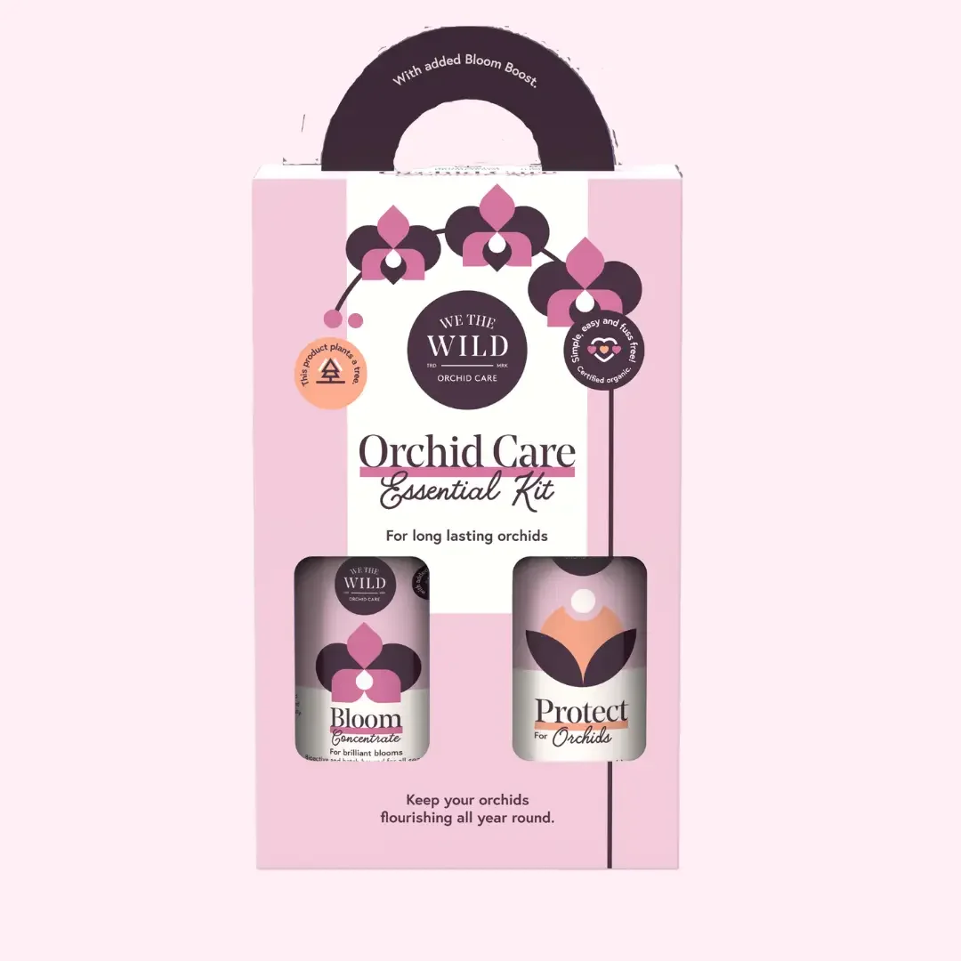 Orchid Care Duo