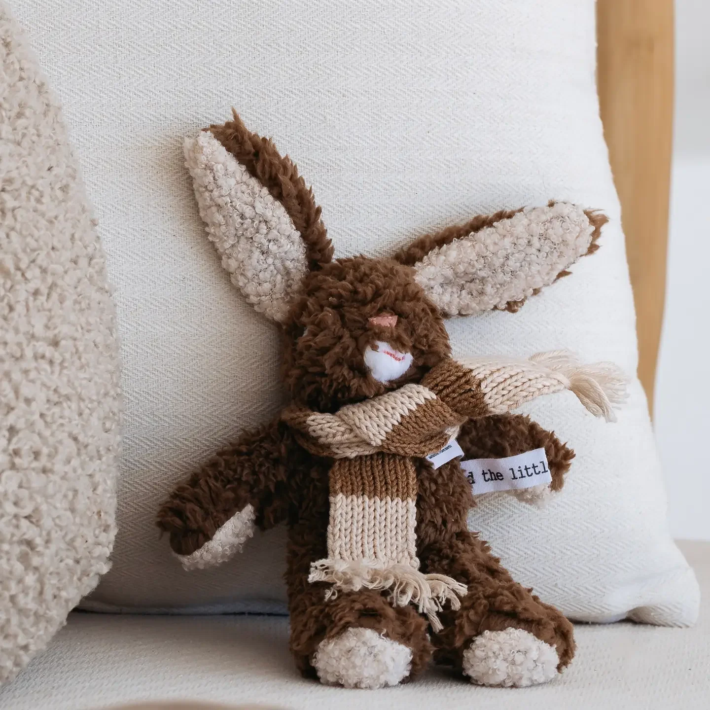 Frankie Rabbit 1.webp