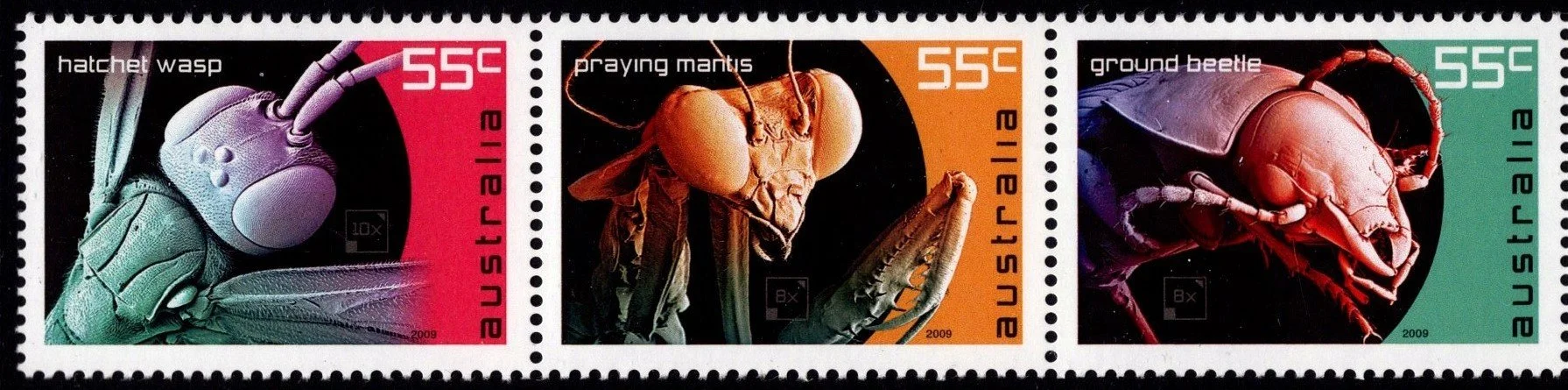 2009 Micro Monsters Strip 3 Part 1.jpg