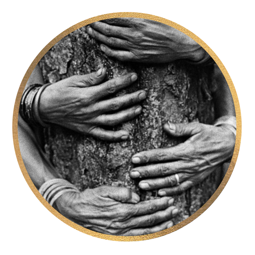 Multiple hands with rings and bangles touching a textured surface, perhaps a tree trunk or rock, in black and white, enclosed in a gold circular frame.