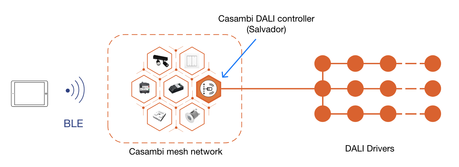 Kuvassa näytetään miten Casambin Salvador yhdistää DALI-verkon osaksi Casambi Mesh-verkkoa ja miten koko järjestelmää voidaan ohjata langattomasti älypuhelimella tai tabletilla.