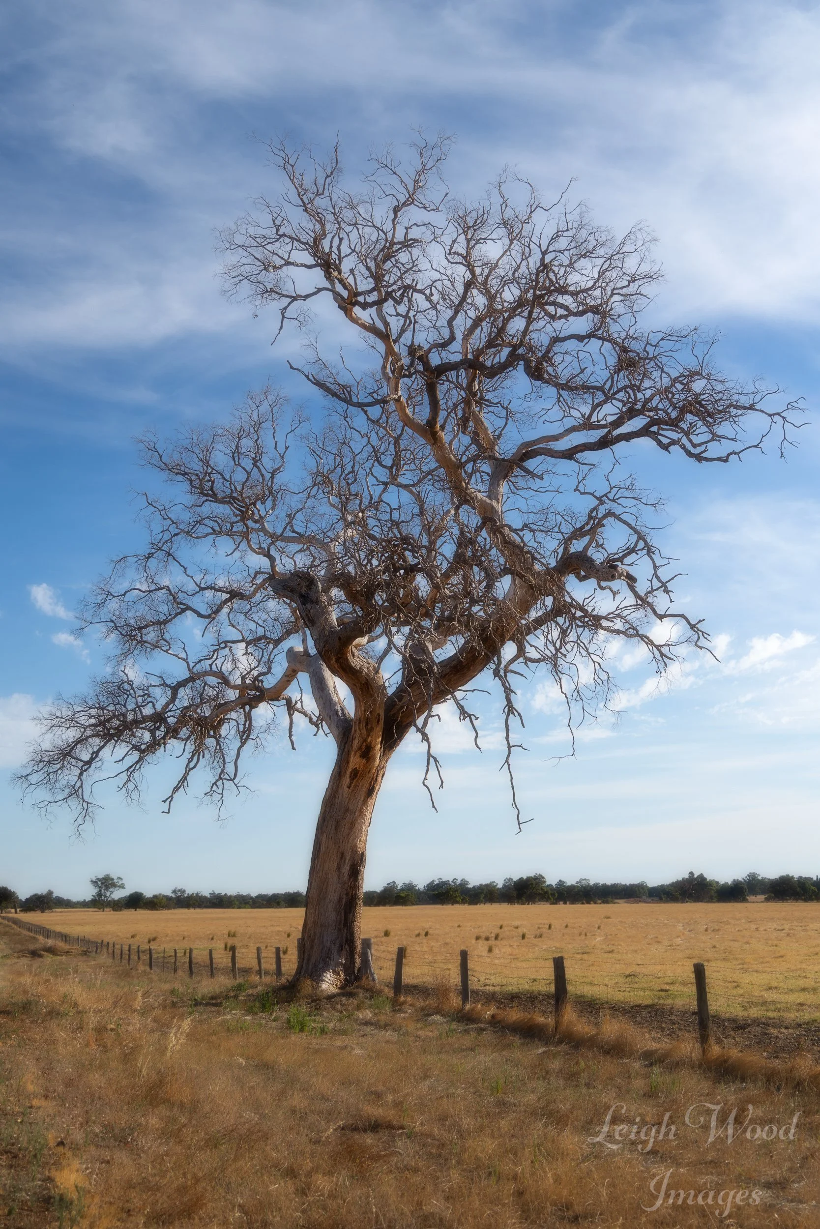 Sth West Hwy 0001-Edit.jpg