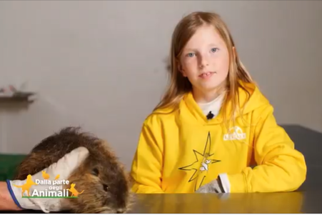 Il Cras ha salvato la nutria Baffettona