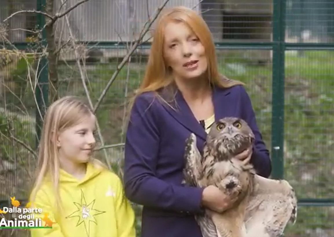 La storia di Potter, salvato due volte dal Cras